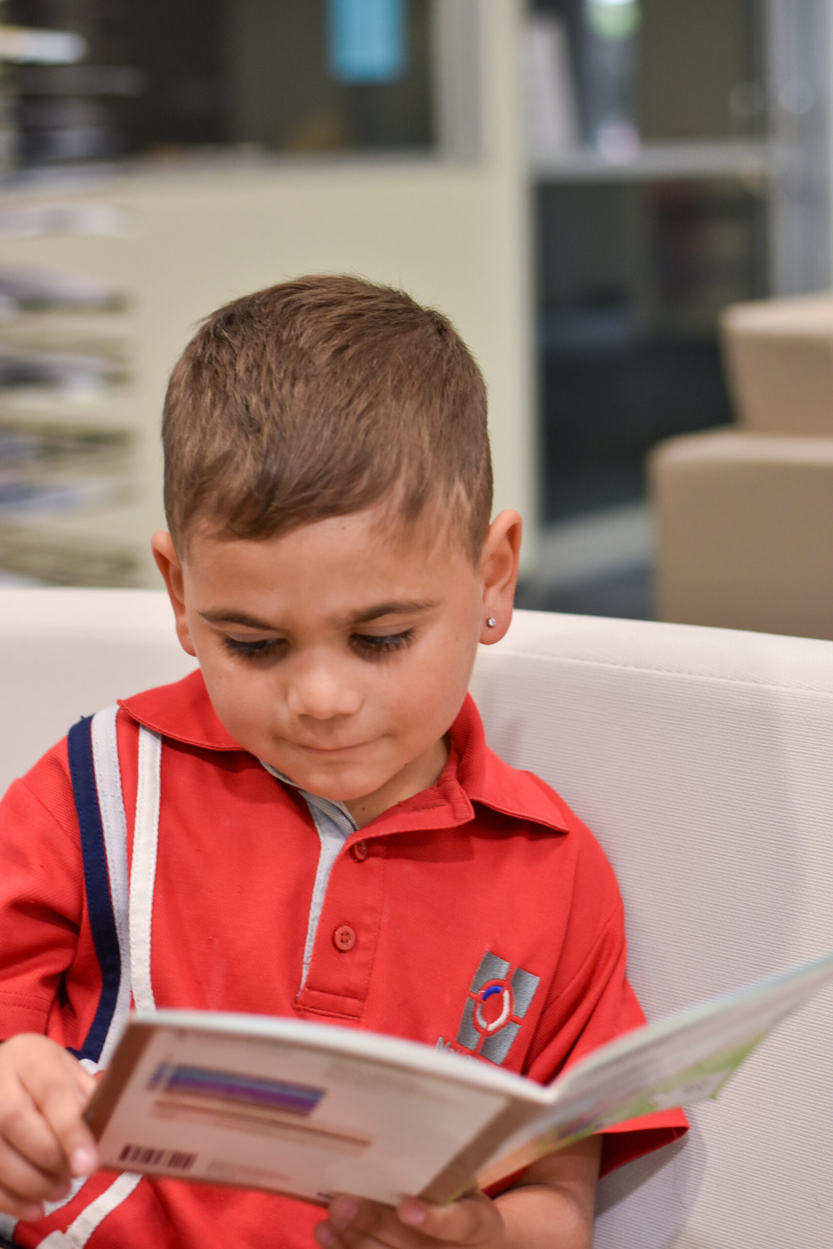 Primary student reading a book