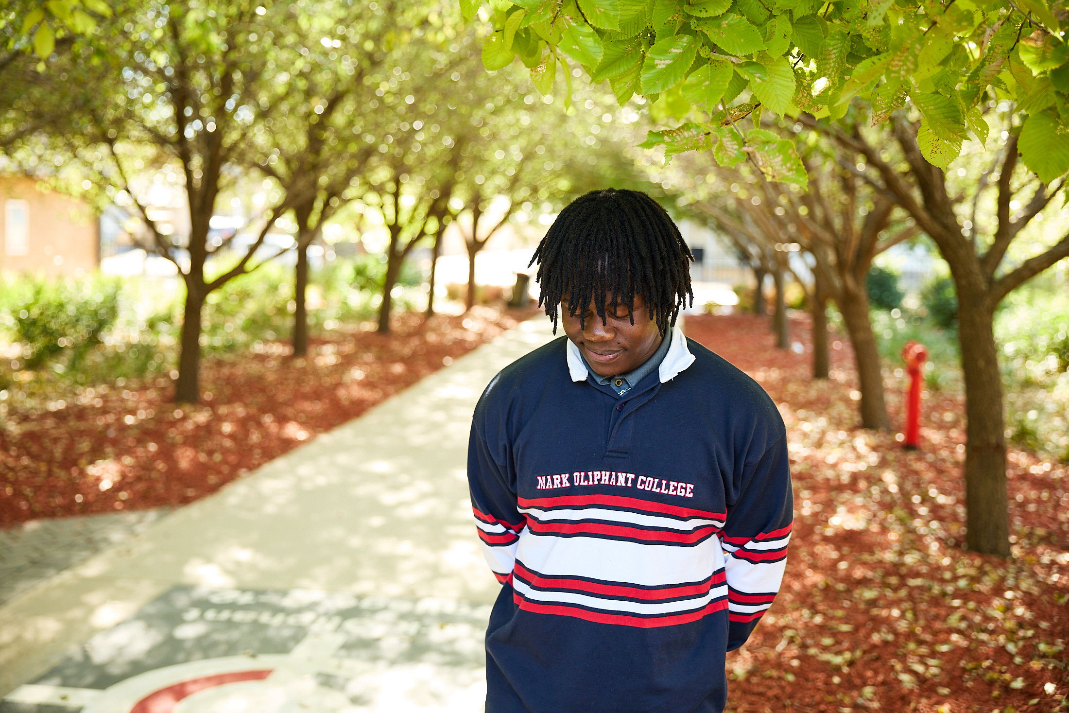 Student standing on a tree-lined path in the school grounds