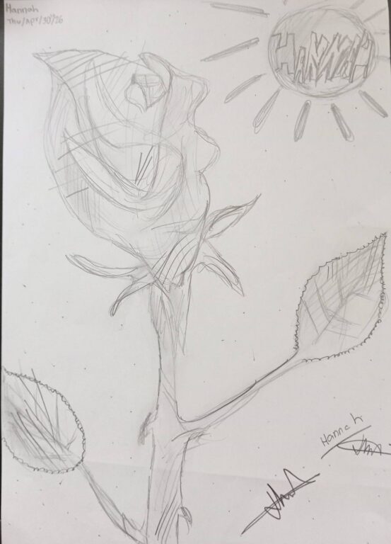 Year 6 student pencil drawing of a rose with a sun in the background