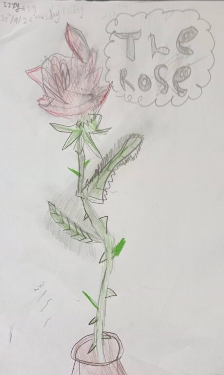 Student pencil drawing of a rose in a vase, titled 'The Rose'
