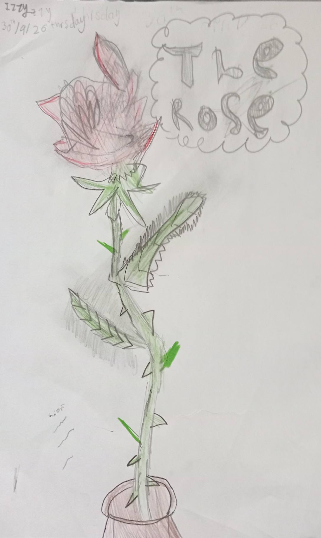 Student pencil drawing of a rose in a vase, titled 'The Rose'