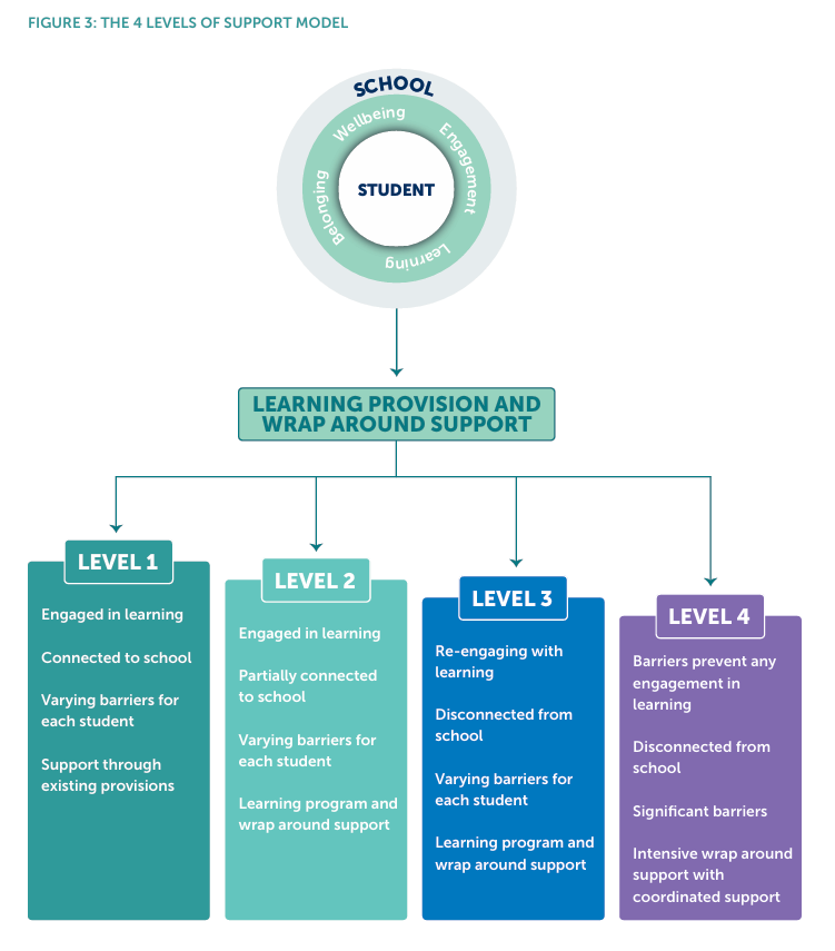 Diagram of the four levels of support in the Tailored Learning model