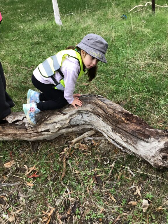 Child in a sun hat and hi-vis vest exploring a fallen log at Bush Kindy
