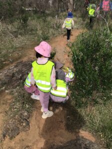 Child walking up a bush track during a Bush Kindy session